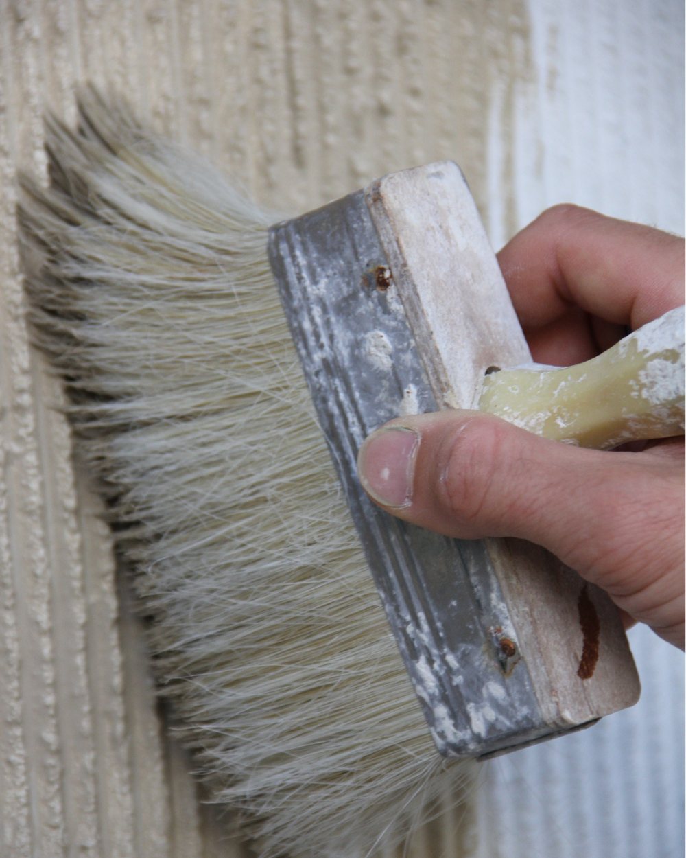 Close-up of a block brush laying a textured lime finish on a wall